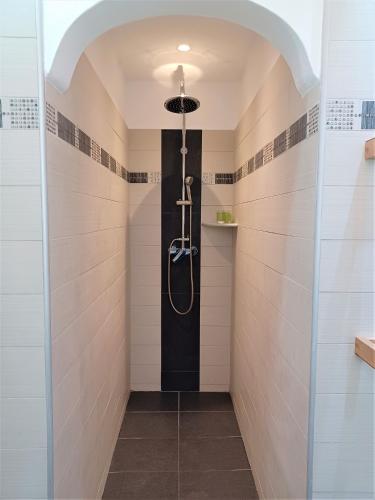 a walk in shower in a bathroom with a black door at Evelina Family Beach Pension a breath away from the Black Beach offer plenty of accommodation type to suit every traveler's needs-Economic Rooms-Thematic Rooms-Design Rooms-Kitchenette Rooms-Studios-Small Apartments in Perissa