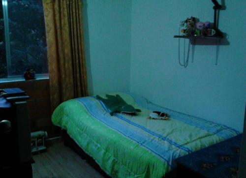 a bedroom with a bed with a cat laying on it at Como en casa in Itagüí