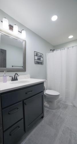 a bathroom with a sink and a toilet and a mirror at NEW! Murphy*Hot Tub*Fire Pit in Murphy