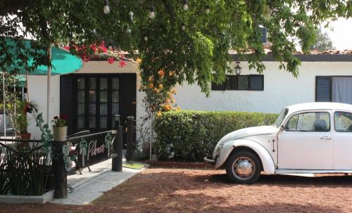 Taman di luar Hotel Palmas Teotihuacán