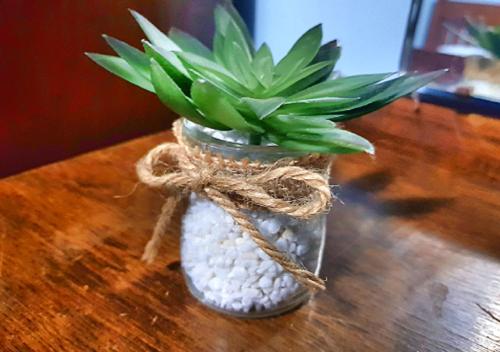 a glass vase with a plant in it on a table at Warradale Lodge and Mini Golf in Palgarup