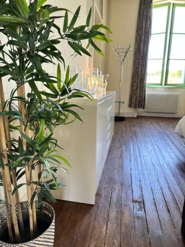 a room with potted plants and a white dresser at Villa Vallière bed&breakfast in Vallières