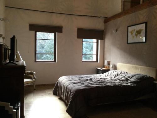une chambre avec un lit et deux fenêtres dans l'établissement Mas provençal dans un lieu exceptionnel, à Bollène