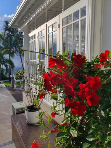 un bouquet de fleurs rouges dans un pot sur une terrasse couverte dans l'établissement VILLA MANAAKI, à Saint-Paul