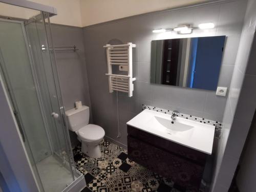 ein Badezimmer mit einem Waschbecken, einem WC und einem Spiegel in der Unterkunft STUDIO HAUTEUR GERARDMER in Gérardmer