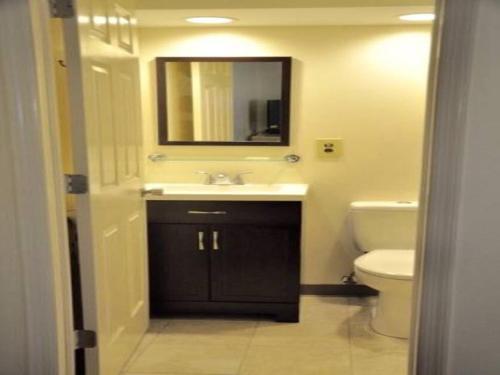 een badkamer met een wastafel, een toilet en een spiegel bij Countryside Motel in Fishkill