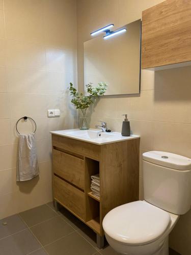 a bathroom with a toilet and a sink and a mirror at Habitación en casa de Mikel in Olite