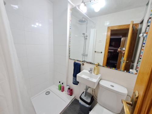 uma casa de banho com um WC, um lavatório e um espelho. em Full equipped and comfortable apartment with WiFi em Valência