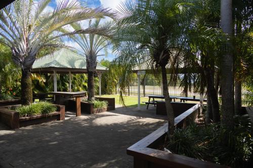 een terras met tafels en palmbomen in een park bij Wongai Beach Hotel in Horn