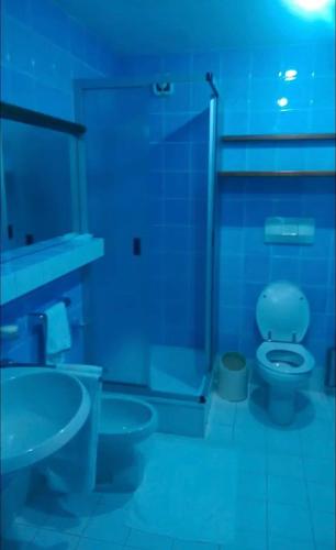 a bathroom with a toilet and a sink at Ploner villaggio Turistico in Dobbiaco