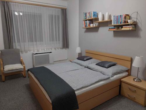 バラトンサールソーにあるApartment Balatonszarszo/Balaton 20083のベッドルーム1室(ベッド1台、椅子、窓付)