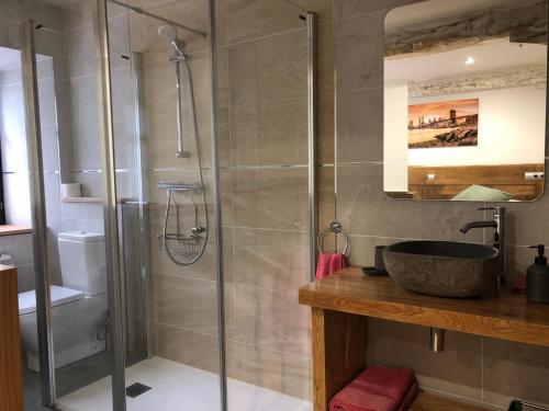 阿瑞特扎的住宿－Golliber Baserrie，带淋浴和盥洗盆的浴室