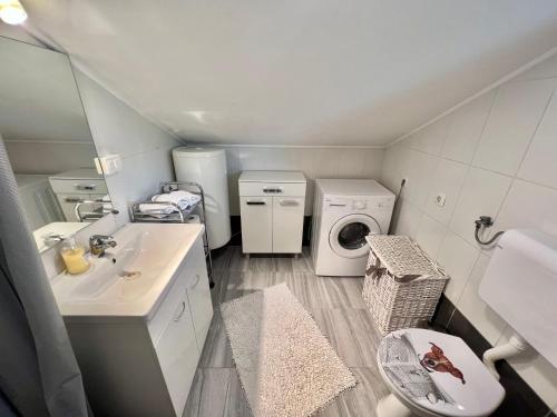 a small bathroom with a sink and a washing machine at Apartman Milly in Grižane