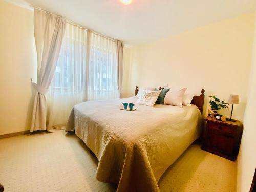 a bedroom with a large bed with a window at Apartment in Bansko, very close to the Gondola in Bansko