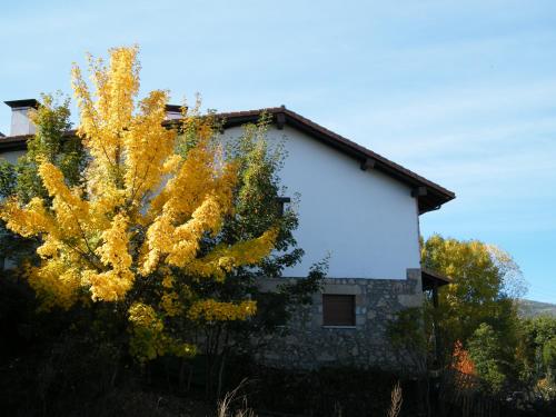 a yellow tree in front of a building at Apartamento Puerta del Sol de 1 habitación in Candelario
