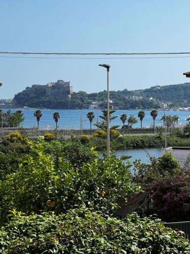 Blick auf einen Wasserkörper mit Palmen in der Unterkunft Casa Polifemo in Pozzuoli