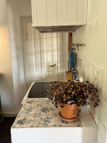 Dapur atau dapur kecil di The Old Soap House - stylish and close to beach