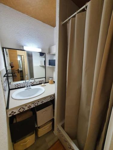 une salle de bain avec un lavabo et un miroir dans l'établissement Le Lagon Bleu 4 Personnes, au Grau-du-Roi