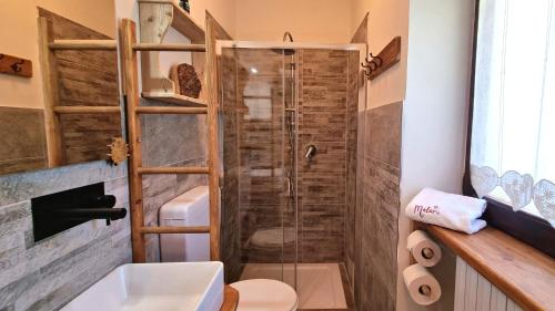 a bathroom with a shower with a toilet and a sink at Melarì in Roure Turin