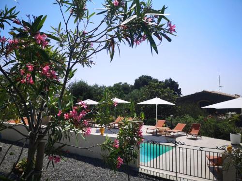 einen Pool mit Stühlen, Sonnenschirmen und rosa Blumen in der Unterkunft Peiranze144 b&b in Sanremo