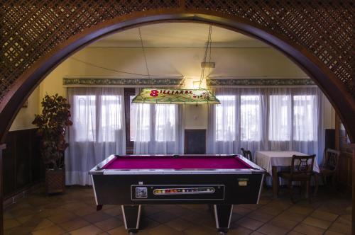 Biliár nebo kulečník v ubytování Hotel Las Camelias