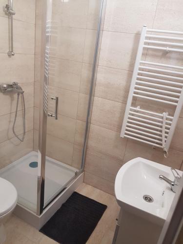 y baño con ducha, aseo y lavamanos. en Apartmán 1, třílůžkový s přistýlkou s kuchyní a koupelnou, en Frenštát pod Radhoštěm