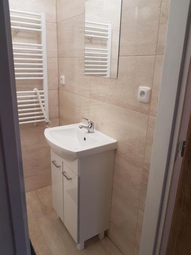 a bathroom with a white sink and a mirror at Apartmán 1, třílůžkový s přistýlkou s kuchyní a koupelnou in Frenštát pod Radhoštěm