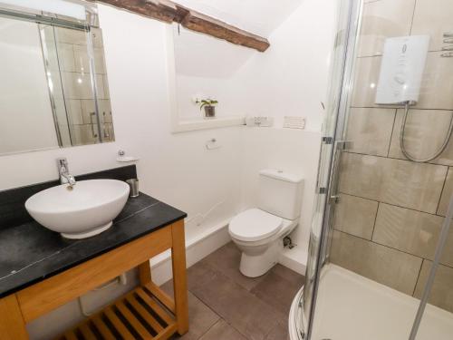 y baño con lavabo, aseo y ducha. en The Old Stable, en Haverfordwest