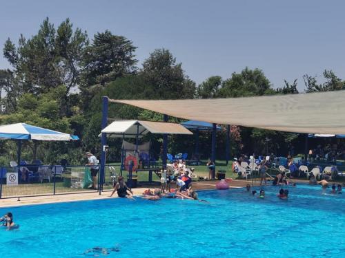 un grupo de personas en una piscina en Nuriel Fruit & Guest House, en She'ar Yashuv