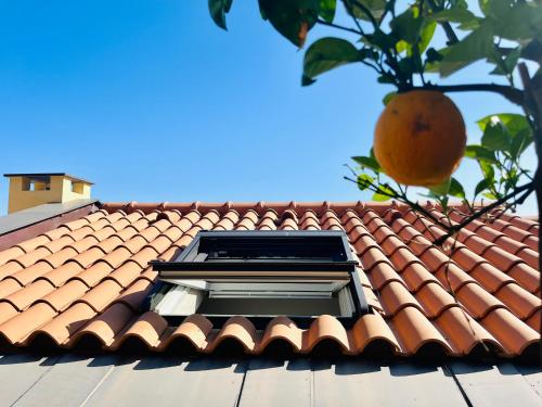 a window on the roof of a house with an orange tree at Eufonia del Mare in Finale Ligure