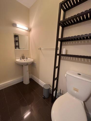 un bagno con servizi igienici, lavandino e letto a castello di Central Thomas Street a Dublino