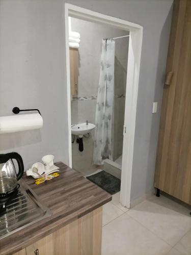 a kitchen with a sink and a shower in a bathroom at Serenity Airb&b Protea Glen in Soweto