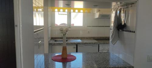 a kitchen with a vase on a counter with a sink at Appartamento Lusi Sole e Mar in Costa Del Silencio