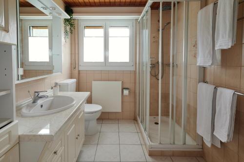 W łazience znajduje się toaleta z umywalką i prysznic. w obiekcie Ferienwohnung - 100m von der Talstation Aletsch Bahnen und Bahnhof Fiesch, BESTE Ausgangslage w mieście Fiesch