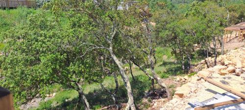 a view of a hillside with trees and rocks at Chez Nat in Rocbaron