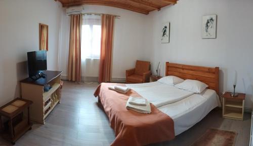 1 dormitorio con 1 cama grande y TV en Pensiunea Ara, en Alba Iulia