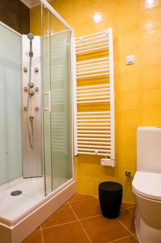 a bathroom with a shower and a toilet at Casa La Rosa with private pool in Loja de Vendas
