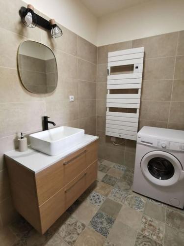 une salle de bain avec un lavabo et une machine à laver dans l'établissement Appartement 2 ou 4 personnes. Venaco, à Venaco