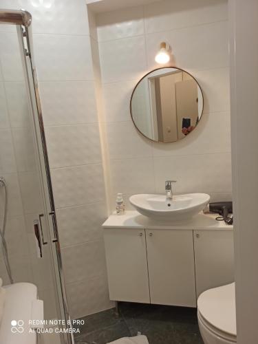 a bathroom with a sink and a mirror at Hostel Pałacyk in Bydgoszcz