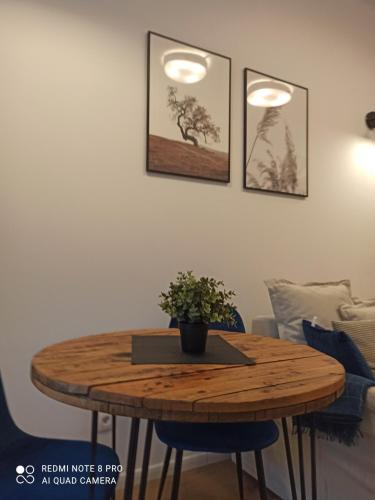 Posedenie v ubytovaní Hostel Pałacyk