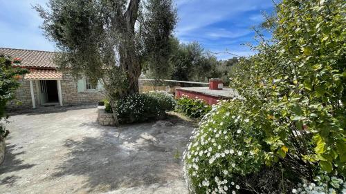 Gallery image of Villa Regina in Gaios
