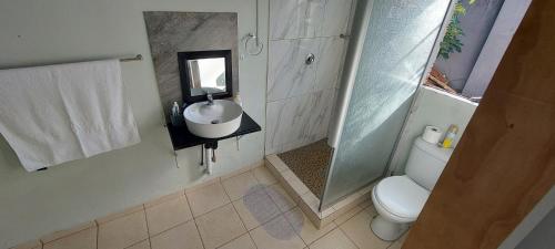 ein Badezimmer mit einem Waschbecken, einem WC und einem Spiegel in der Unterkunft Luxury stays in Empangeni