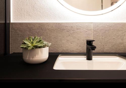 ein Waschbecken mit Topfpflanze daneben in der Unterkunft place2be - exclusive apartment in Faistenau