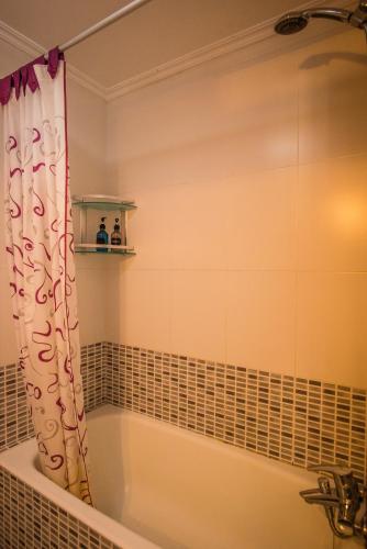 a bath tub with a shower curtain in a bathroom at Casa con terraza para 4 personas en Plentzia in Mendiondo