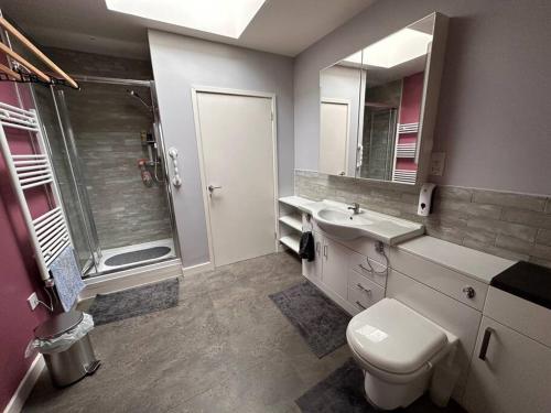 a bathroom with a toilet and a sink and a shower at Ridge House Stables in Ashford