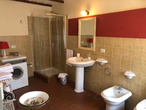y baño con lavabo, ducha y aseo. en Antica residenza La Rocca en Montefiascone