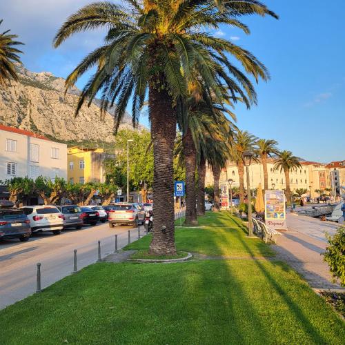 a palm tree on the side of a street at Apartments Sea Pearl in Makarska