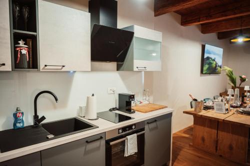 a kitchen with a sink and a counter top at Kocbek since 1929 in Sveti Jurij ob Ščavnici