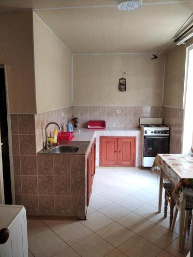 a kitchen with a sink and a stove at Садиба Тушер in Rakhiv