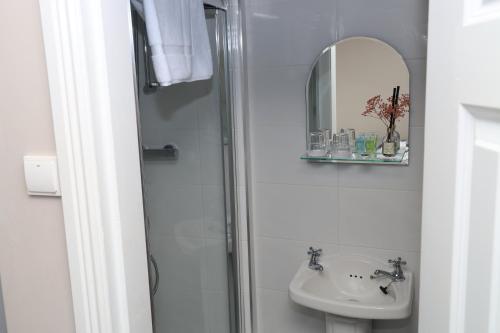 a bathroom with a shower and a sink and a mirror at Madelines Accommodation in Tinahely